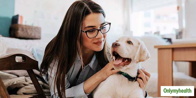 insideplayingwithpets