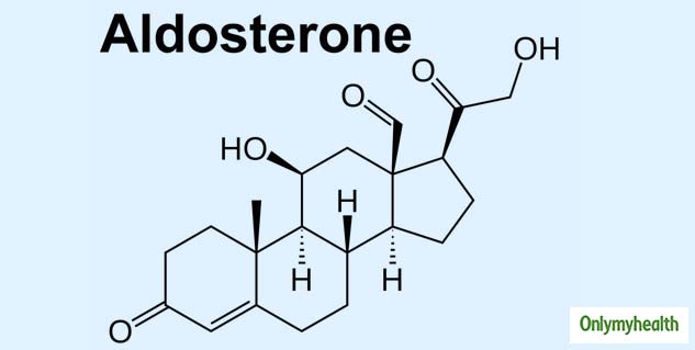 Aldosterone Hormone And Hypertension