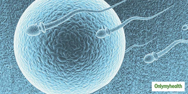 SPERM