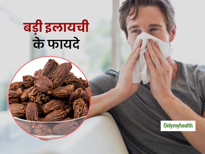 सर्दियों की कई समस्याओं का रामबाण इलाज है बड़ी इलायची, जानें इसके 3 बड़े फायदे और इस्तेमाल के 3 तरीके