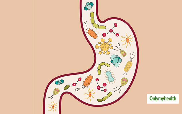 insideguthealth