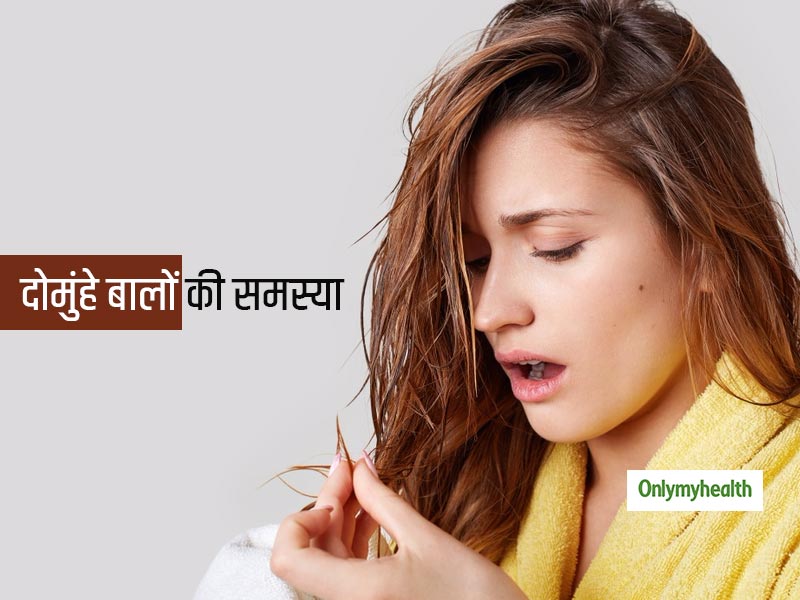 दोमुंहे बालों (Spilt Ends) से हैं परेशान? हमेशा के लिए इनसे छुटकारा पाना है तो अपनाएं ये 5 हेयर केयर टिप्स