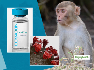 COVAXIN Animal Trial Gets Robust Immune Responses: Bharat Biotech