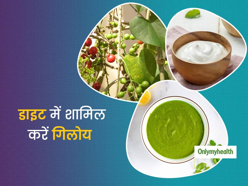इम्यूनिटी बढ़ाने के अलावा शरीर के लिए पावरफुल टॉनिक भी है गिलोय, इन 3 तरीकों से करें इसे अपनी डाइट में शामिल