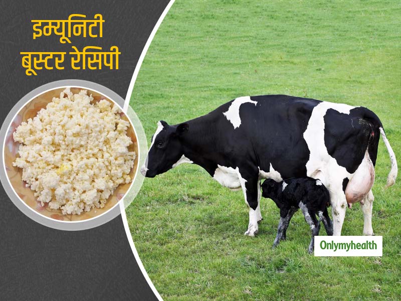इम्यूनिटी बूस्टर है गाय या भैंस का पहला दूध, रुजुता दिवेकर से जानें खरवस से बनने वाली हेल्दी रेसिपी और फायदे