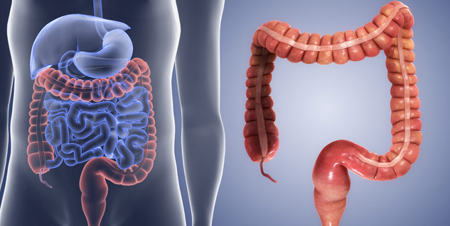 Inside2GastrointestinalBleedingcauses