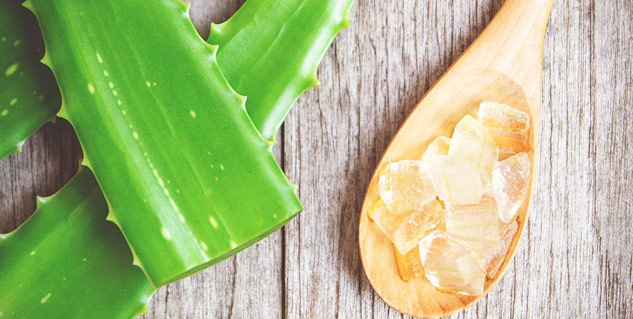 aloe vera