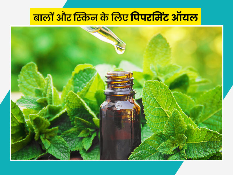 पुदीने के तेल से मिलते हैं सेहत, त्वचा और बालों को मिलते हैं ढेर सारे फायदे, जानें प्रयोग का तरीका