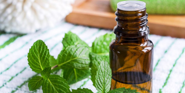 peppermint oil
