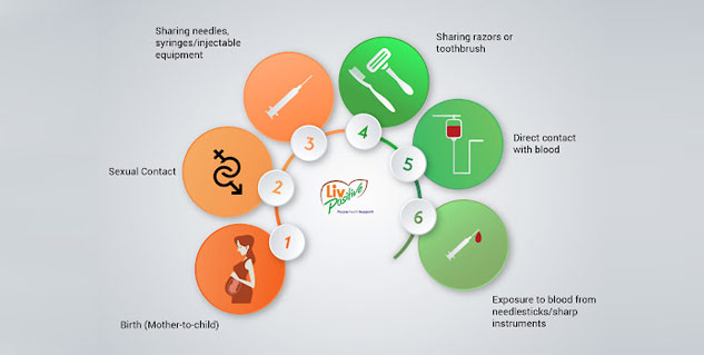 Transmission of Hepatitis B