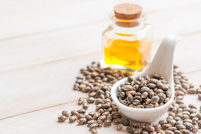 Castor seed oil