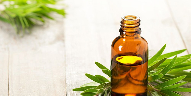 Inside1teatreeoil