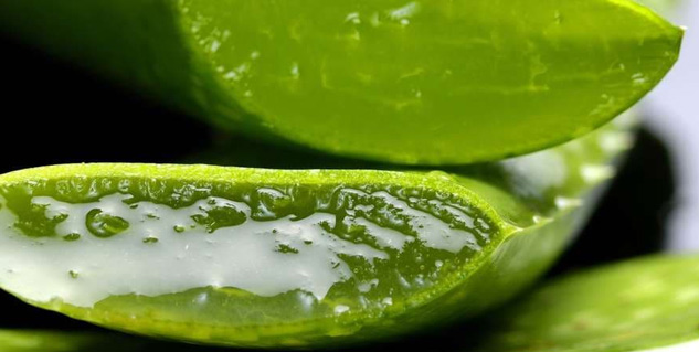 Inside2aloevera