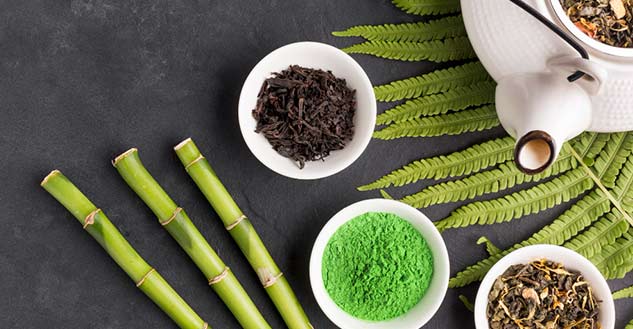 Ayurvedic-Treatment-for-Spondylosis