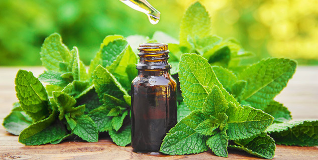 Inside1Peppermintoil