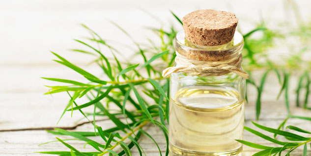 tea tree oil