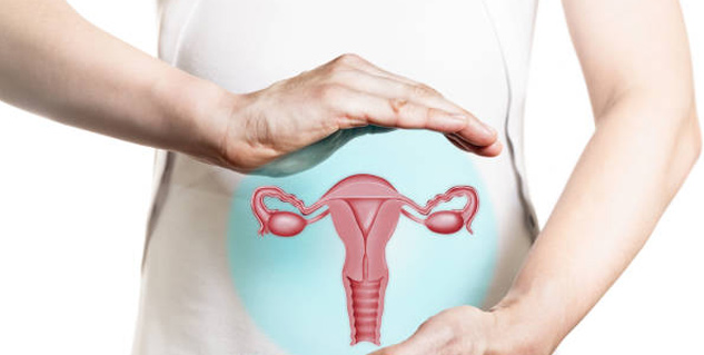 Inside1Uterusprolapse