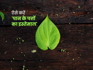 पान के पत्ते हैं इन 8 समस्याओं का आसान घरेलू इलाज, जानें किस समस्या में कैसे करें प्रयोग