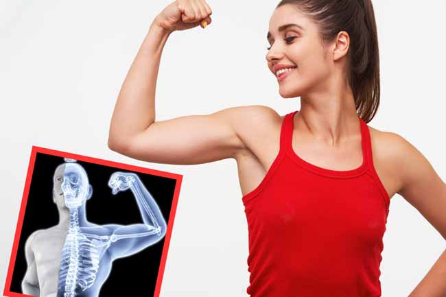 क्या होती है बोन डेंसिटी?