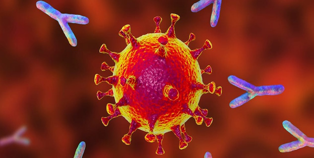 jaggery boost immunity