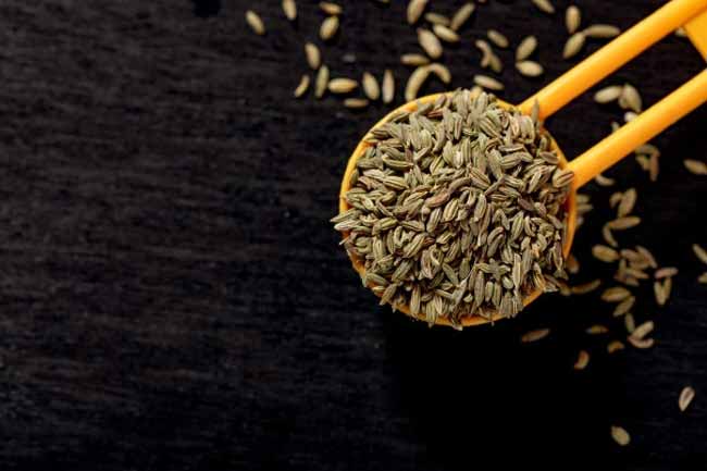 Fennel seeds