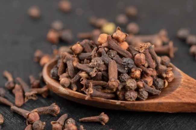 Cloves