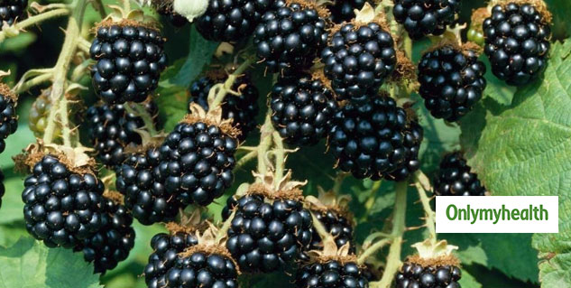 blackberry is good for diet