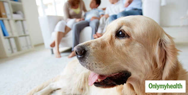 pet allergy