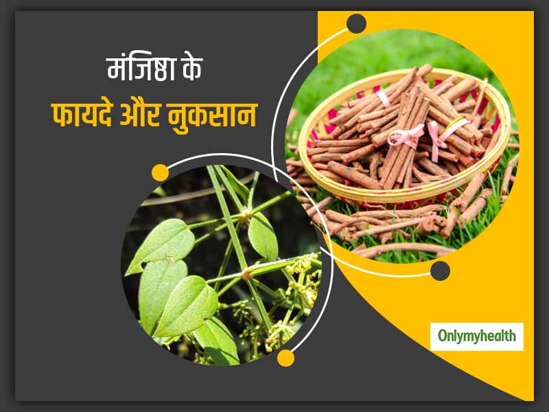 मंजिष्ठा: मजीठ पौधे की जड़ 'मंजिष्ठा' में होते हैं कई औषधीय गुण, आयुर्वेदाचार्य से जानें इसके 9 फायदे