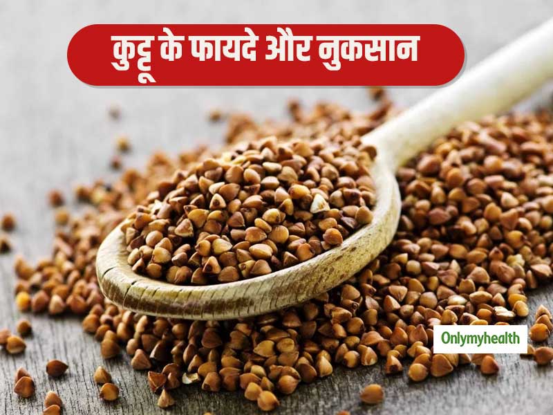 सेहत के लिए बहुत फायदेमंद माना जाता है कुट्टू, जानें कुट्टू खाने से मिलने वाले सभी लाभ और कुछ नुकसान