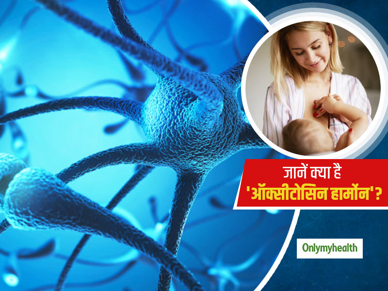 ऑक्सीटोसिन हार्मोन क्या है और ये शरीर में कैसे बनता है? एक्सपर्ट से जानें इसका उपयोग