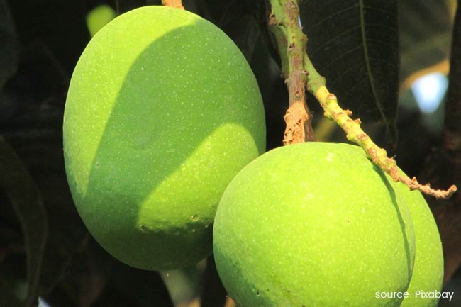 लू की समस्या में कच्चे आम का इस्तेमाल