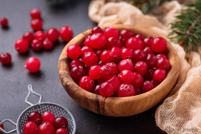 5. ड्राय क्रैनबेरी में होती हैं 93 कैलोरीज (Cranberry)