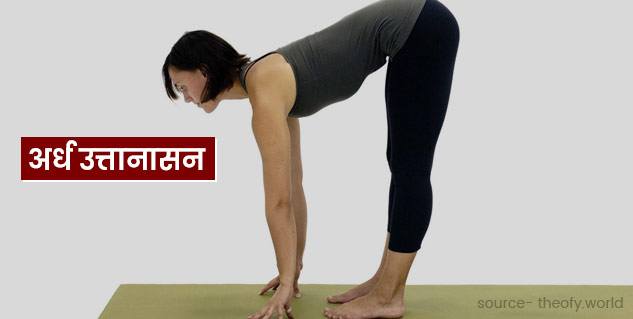 Ardha Uttanasana Control Uric  Acid
