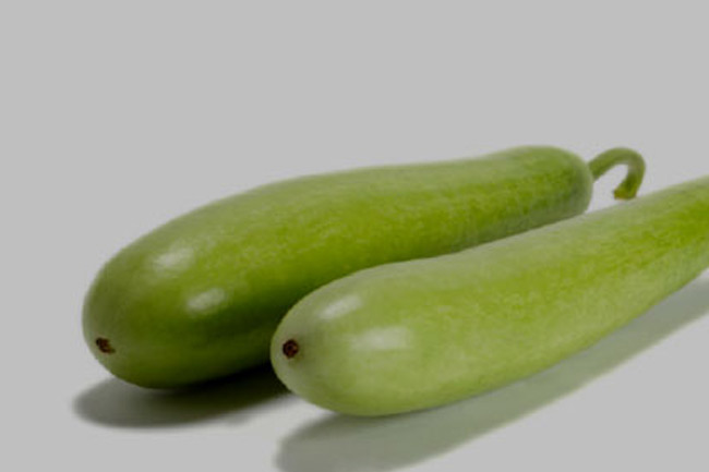लौकी