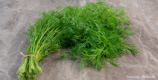 Soya-or-Dill-Leaves-Health-Benefits
