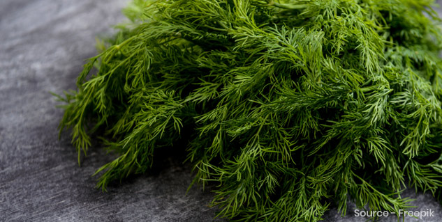 Soya-or-Dill-Leaves-Health-Benefits
