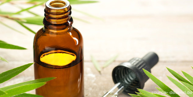 Tea Tree Oil is Beneficial in Teeth Pain in Pregnancy