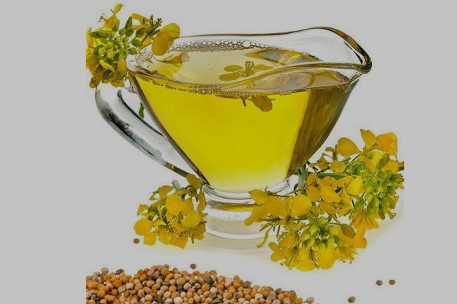 कैनोला ऑयल के फायदे