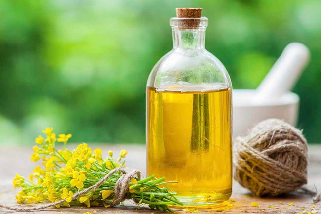 कैनोला ऑयल के नुकसान