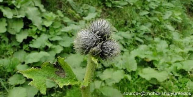 Inside1_kuthbenefits