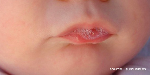 inside3_morningsaliva