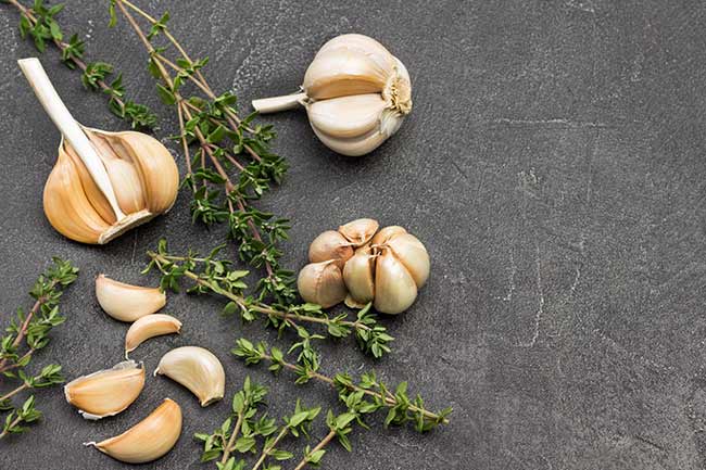 Garlic