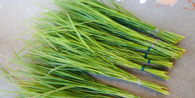 inside4_testedhomeremedy