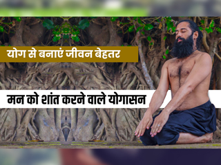 मन को शांत करने के लिए करें ये 3 योगासन, देखें वीडियो