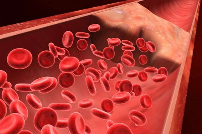 रक्त वाहिकाओं के लिए तुलसी का करें इस्तेमाल