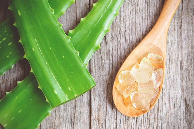 एलोवेरा से करें नाभि की सफाई (Clean Belly Button with Aloe vera)