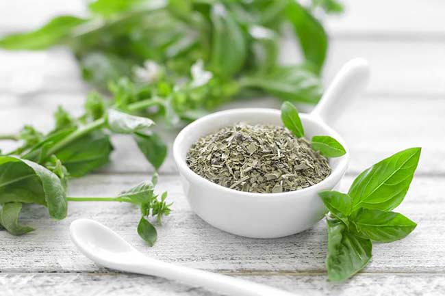 2. तुलसी (Basil)