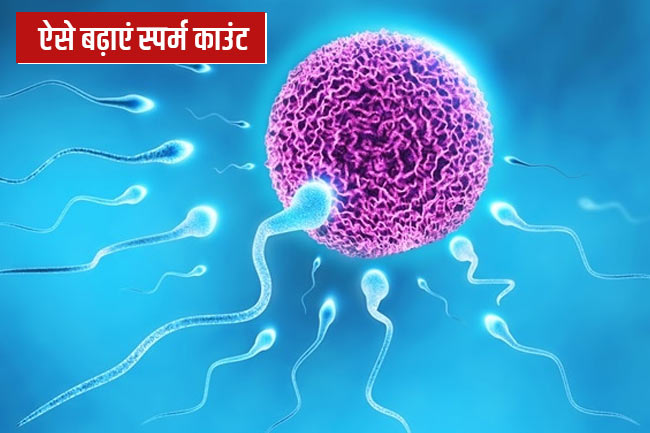 स्पर्म काउंट बढ़ाने के लिए घरेलू उपाय (Home Remedies to Increase Sperm Count)