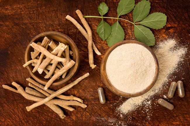 1. अश्वगंधा (Ashwagandha)